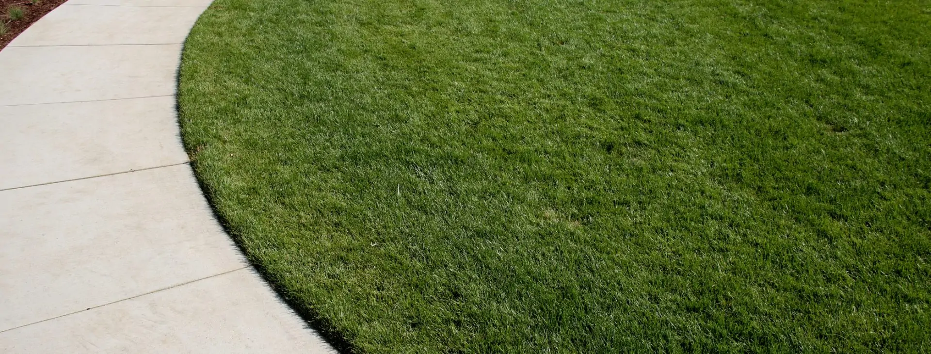 Curved concrete path dividing grass from a garden